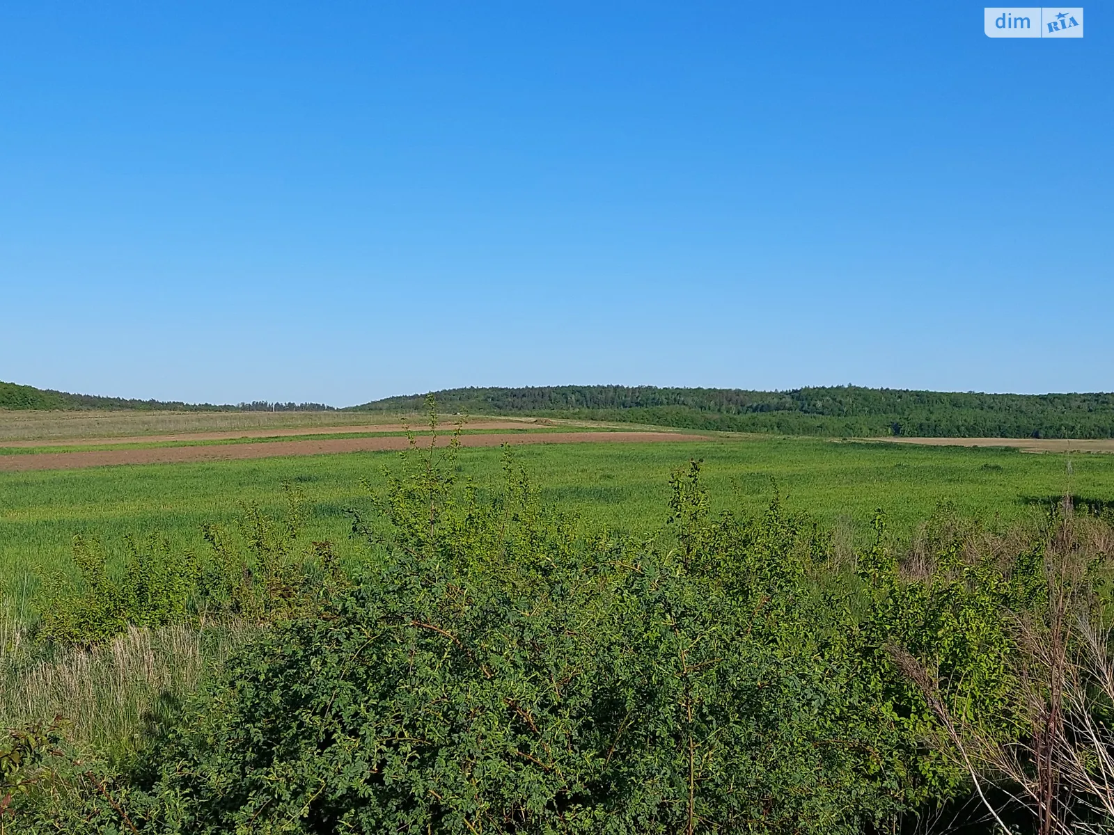 Продается земельный участок 38 соток в Ровенской области - фото 2