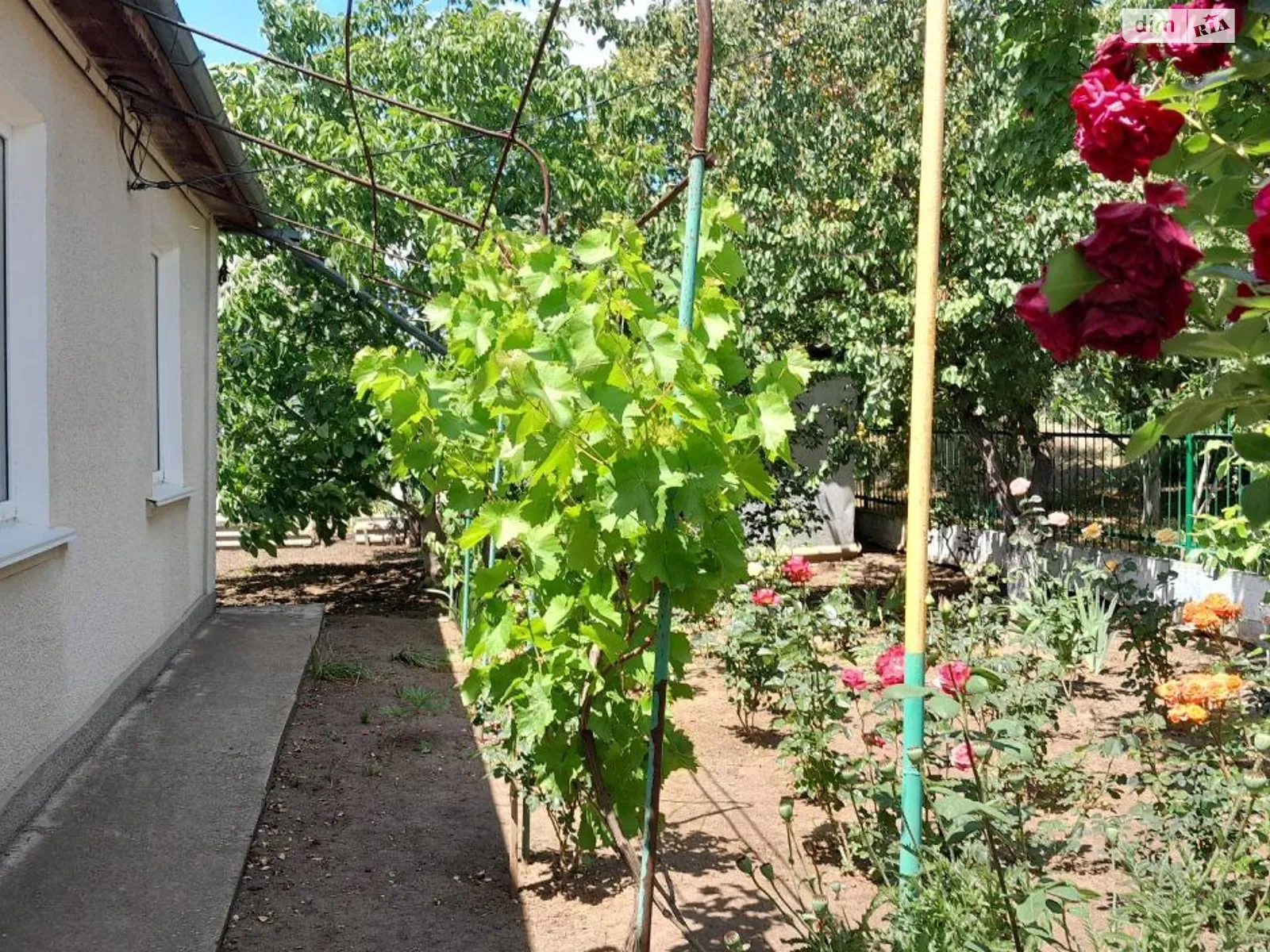 Продается одноэтажный дом 80 кв. м с подвалом, цена: 37000 $ - фото 1