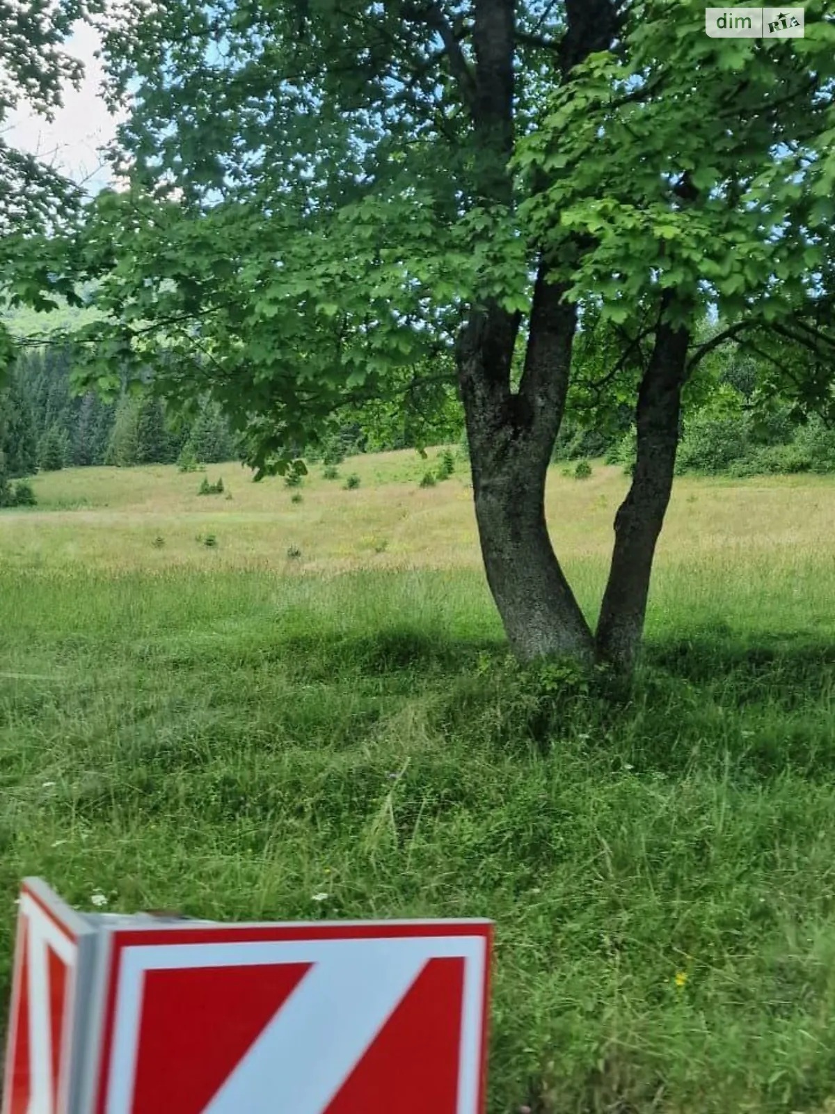 Продается земельный участок 285 соток в Закарпатской области - фото 2