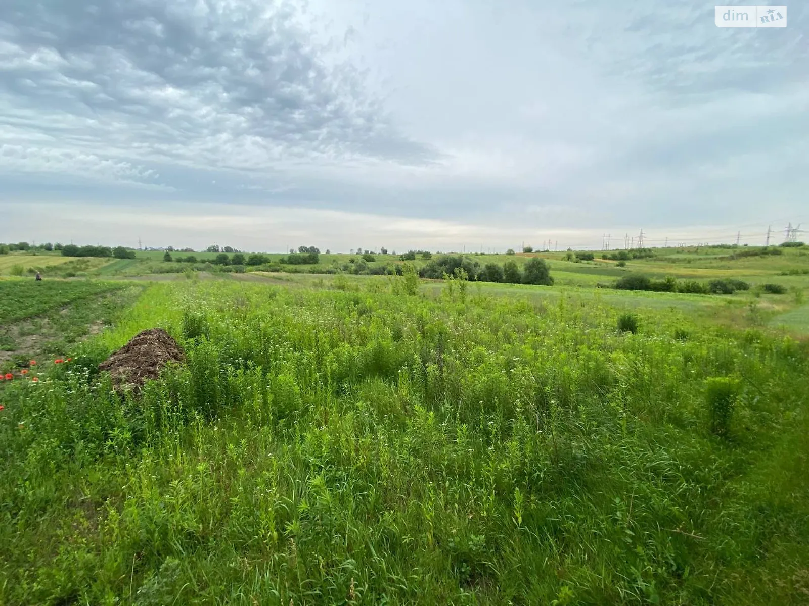 Продается земельный участок 9.38 соток в Ровенской области, цена: 10500 $ - фото 1