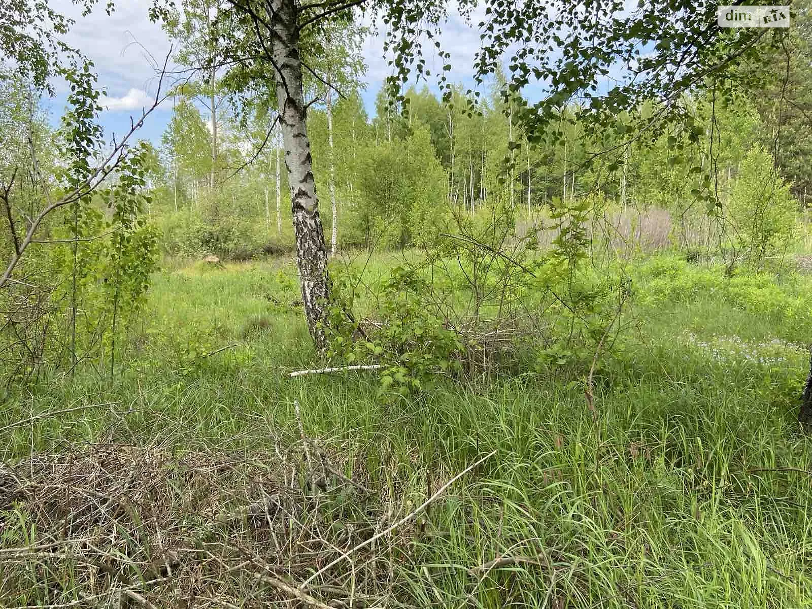 Продается земельный участок 36 соток в Житомирской области, цена: 14400 $ - фото 1