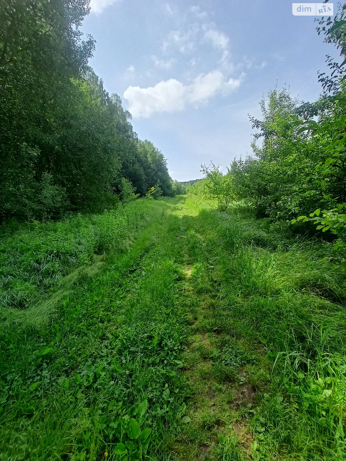 Продается земельный участок 80 соток в Винницкой области - фото 4