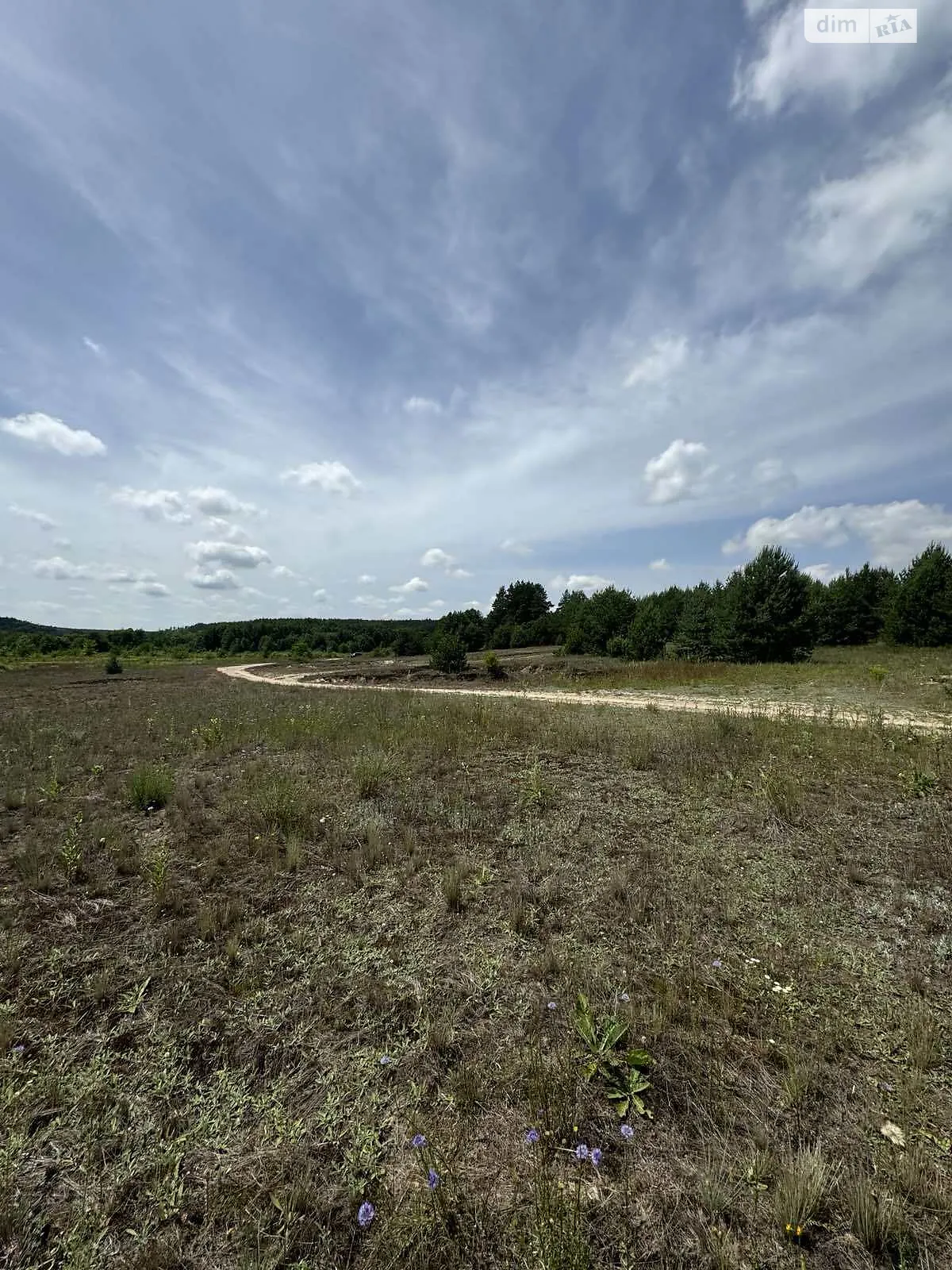 Продается земельный участок 11 соток в Житомирской области - фото 4