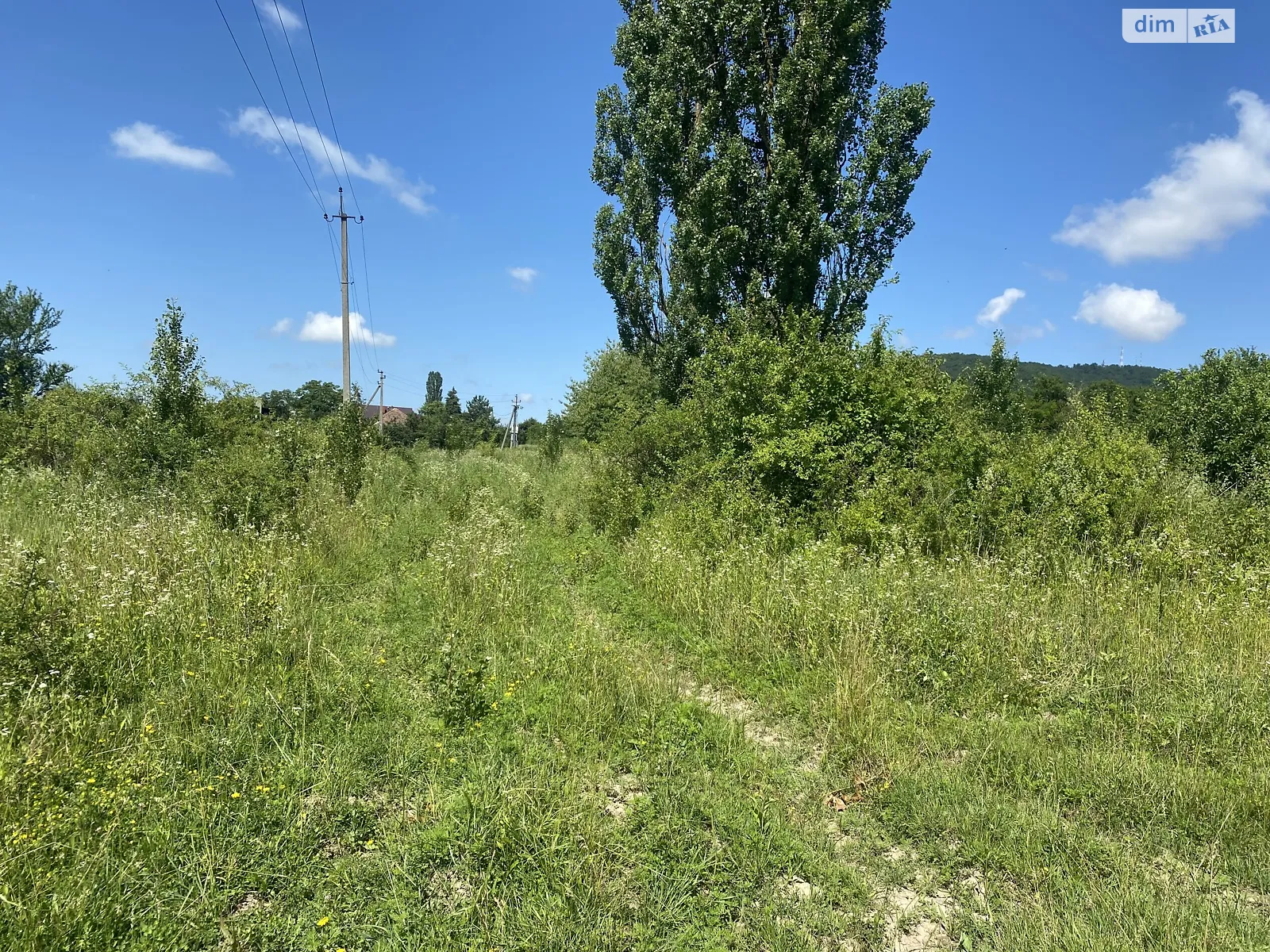 Продается земельный участок 20 соток в Закарпатской области - фото 3