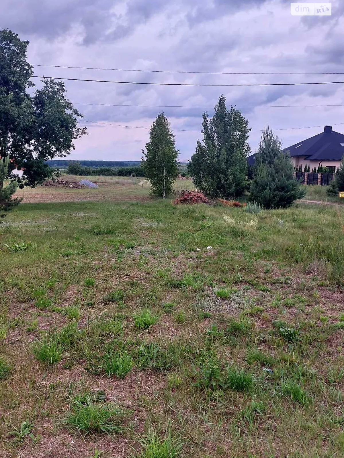 Продается земельный участок 45 соток в Ровенской области - фото 4