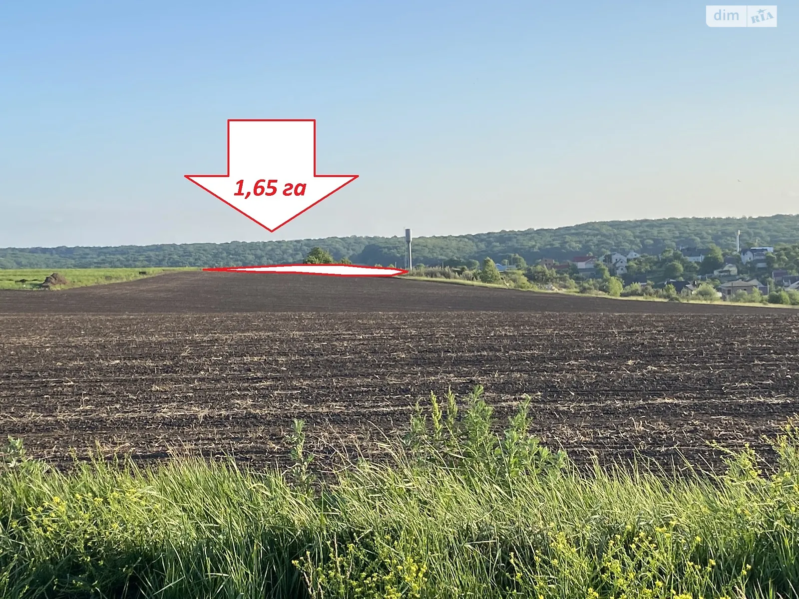 Продается земельный участок 165 соток в Тернопольской области - фото 2