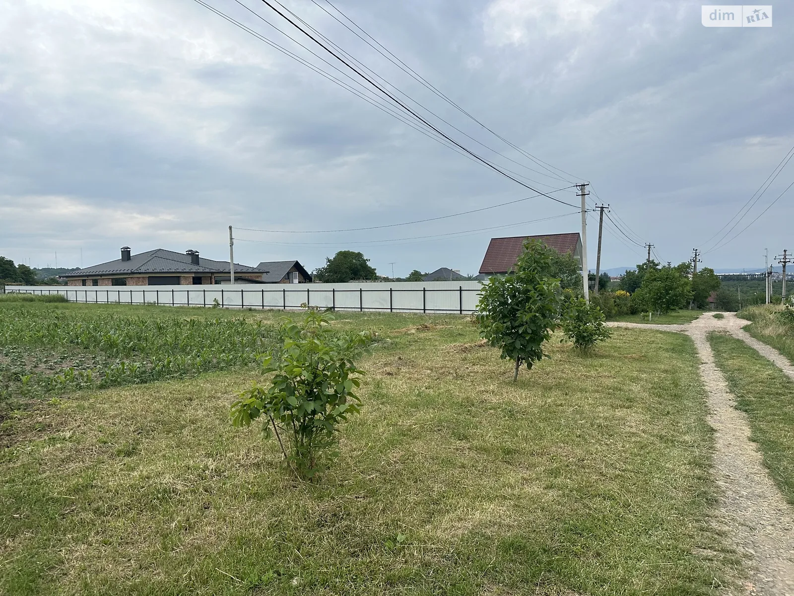 Продается земельный участок 14 соток в Черновицкой области - фото 3