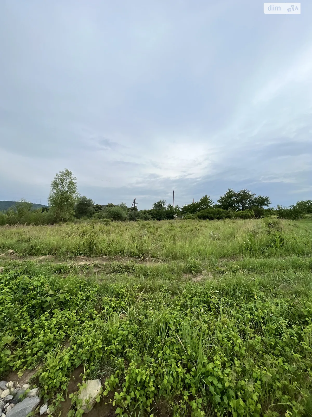 Продається земельна ділянка 7.3 соток у Закарпатській області - фото 2