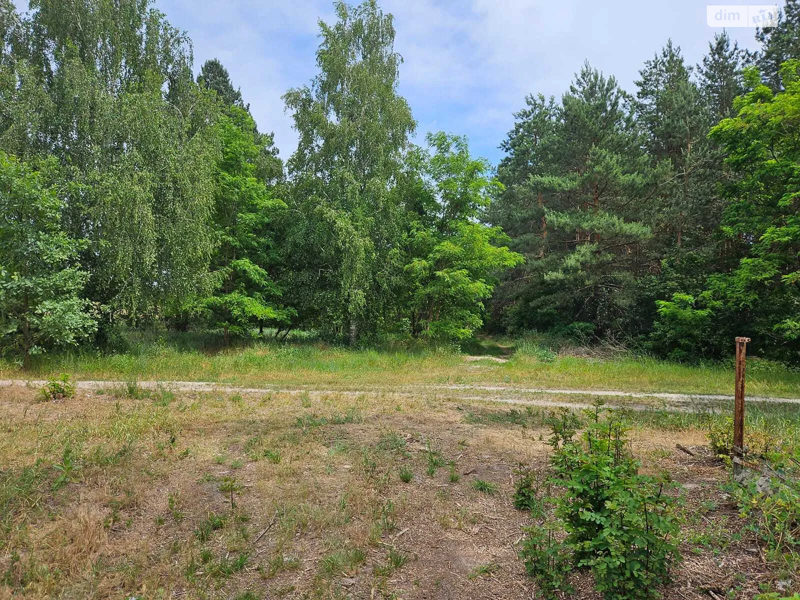 Продается земельный участок 25 соток в Киевской области, цена: 16000 $ - фото 1