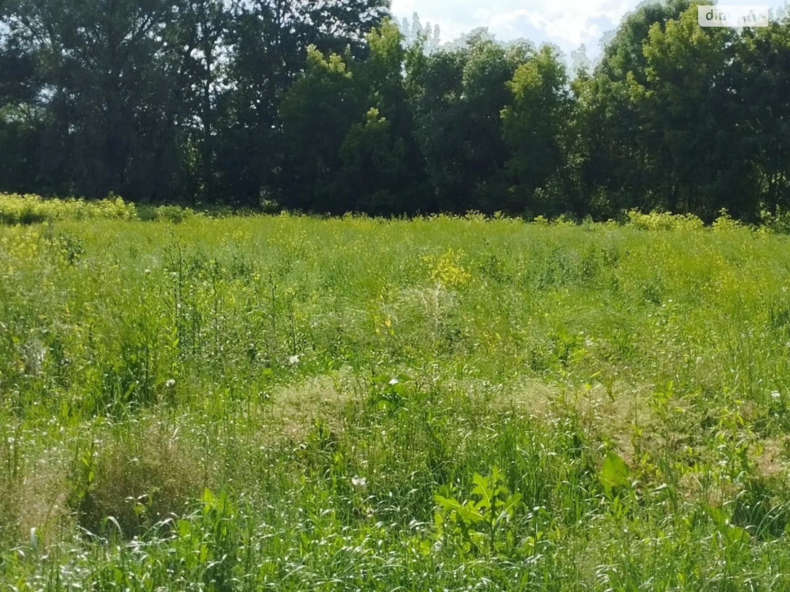 Продается земельный участок 10 соток в Хмельницкой области, цена: 28000 $ - фото 1