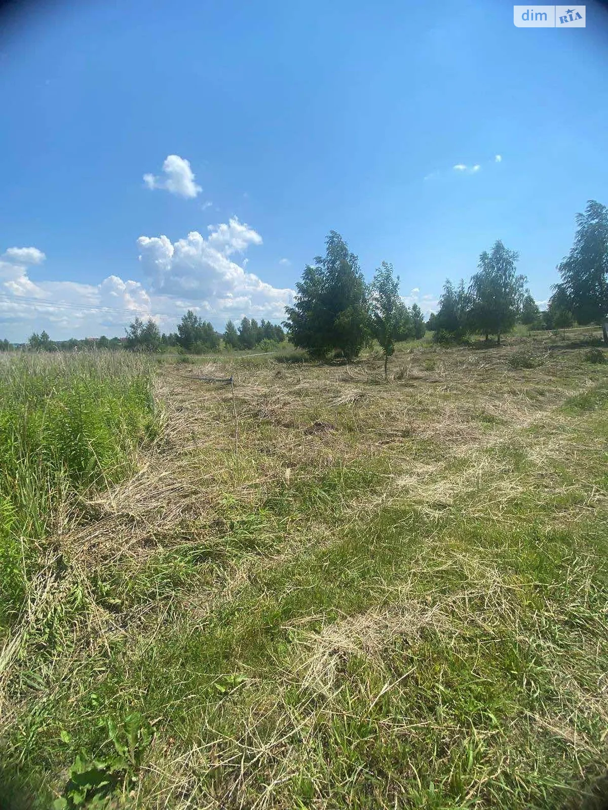 Продается земельный участок 20 соток в Ровенской области - фото 2