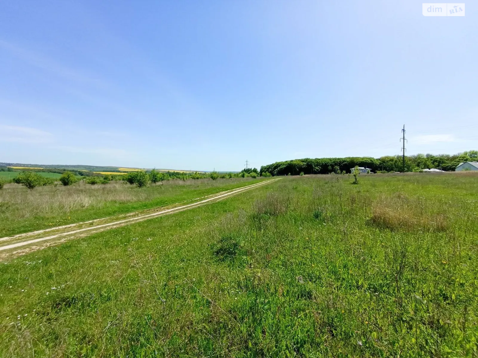 Продается земельный участок 20 соток в Хмельницкой области - фото 4