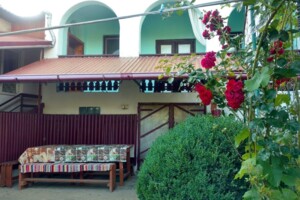 Сниму частный дом в Берегове посуточно