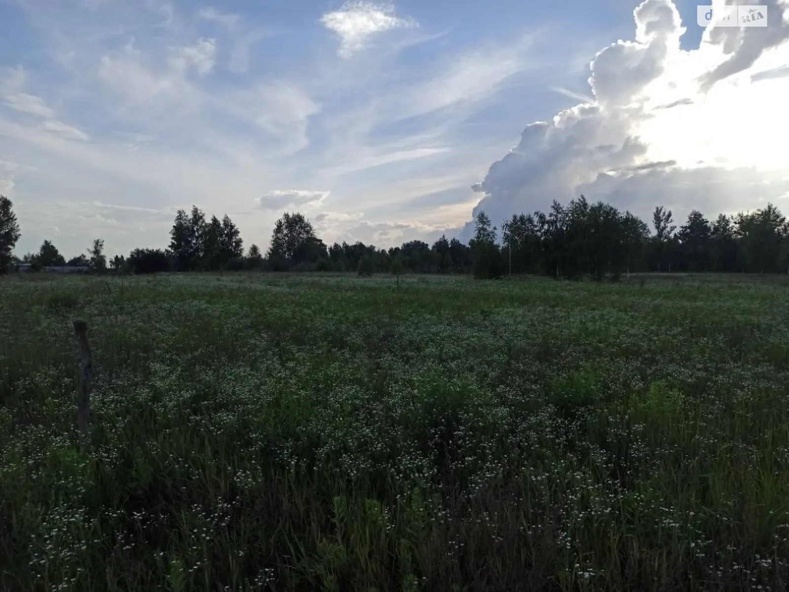 Продается земельный участок 2.5 соток в Хмельницкой области - фото 3