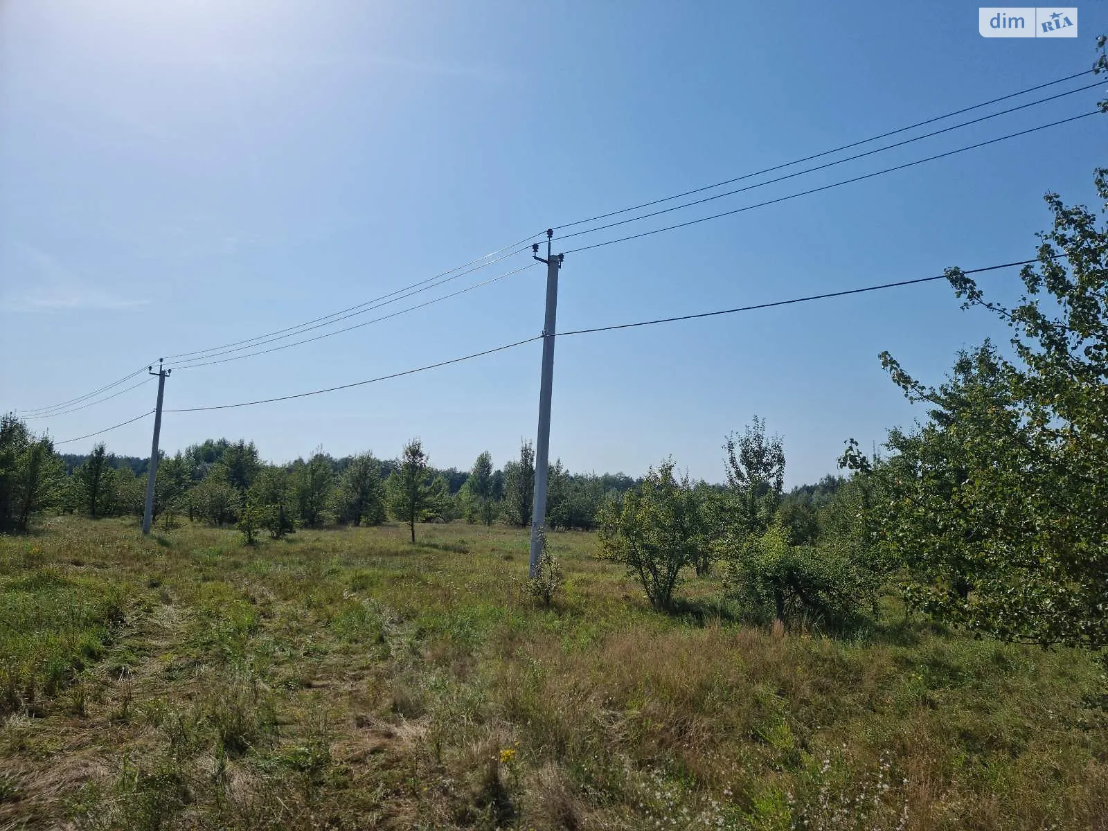 Продается земельный участок 55 соток в Киевской области - фото 2