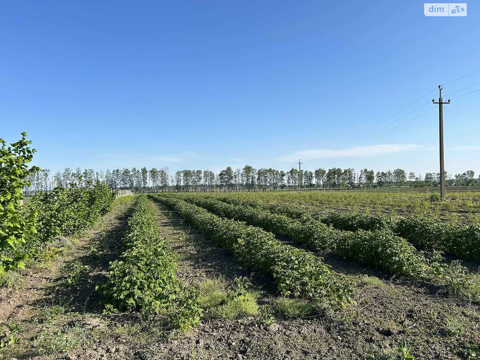 Продается земельный участок 200 соток в Винницкой области, цена: 25000 $ - фото 1