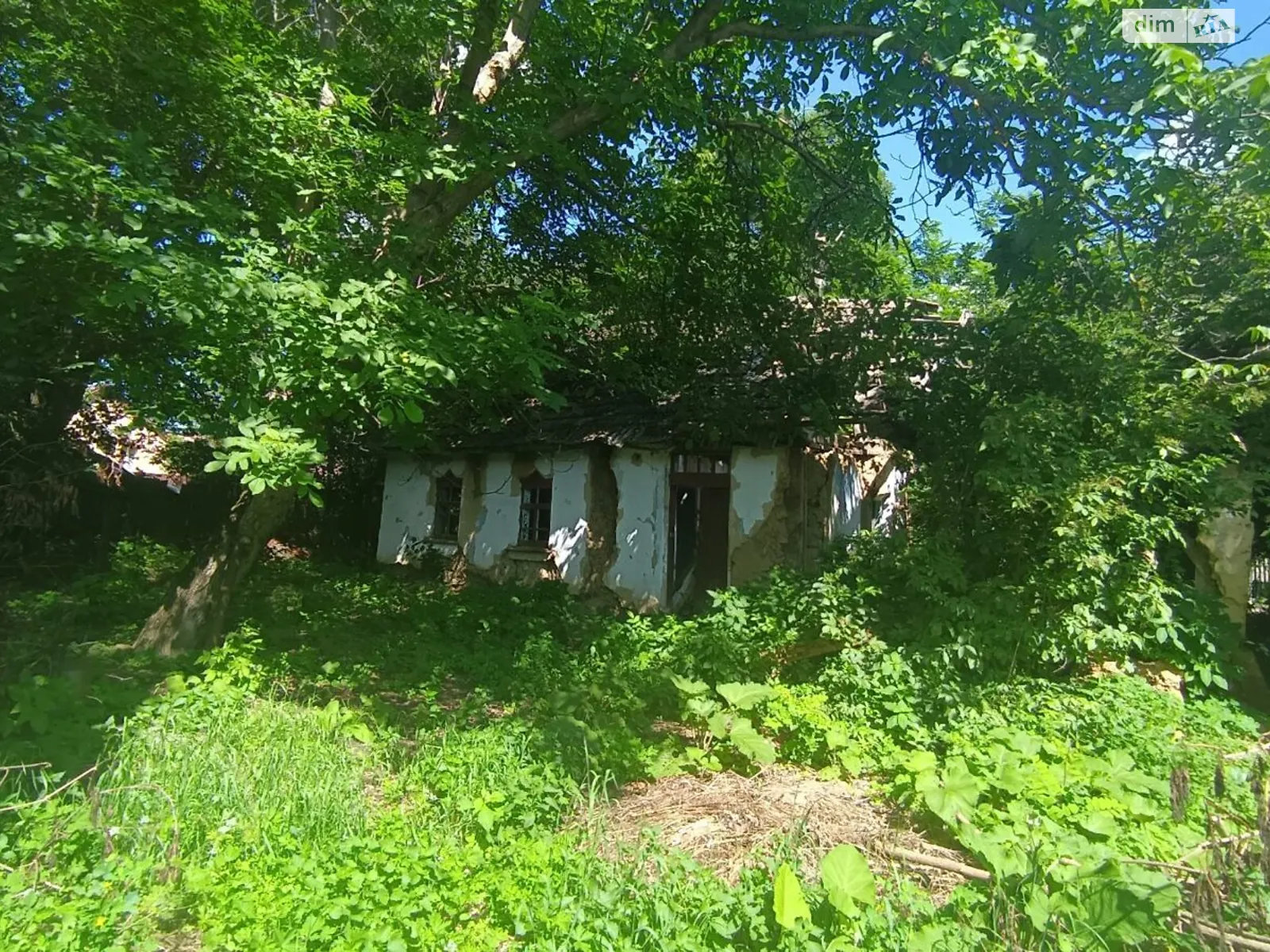 Продается земельный участок 36 соток в Хмельницкой области, цена: 16500 $ - фото 1