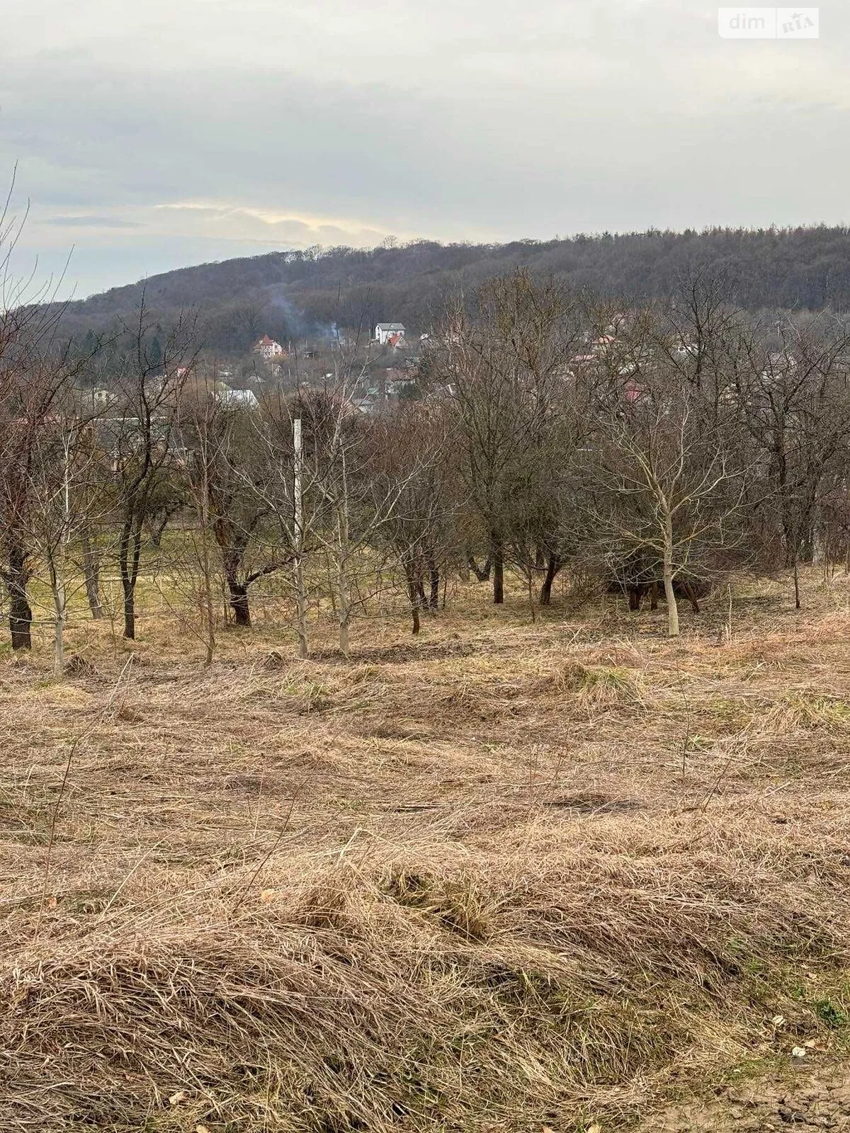 Продается земельный участок 35 соток в Львовской области - фото 3
