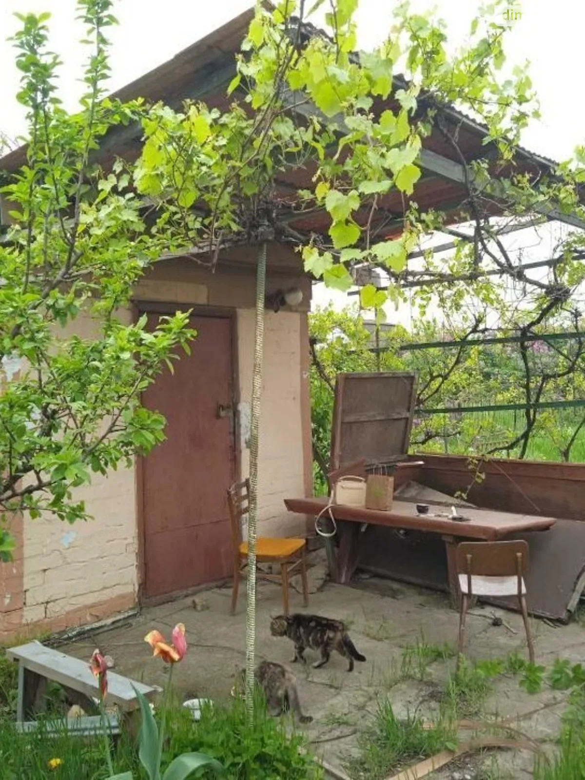 Продается одноэтажный дом 27.6 кв. м с бассейном, цена: 5500 $ - фото 1