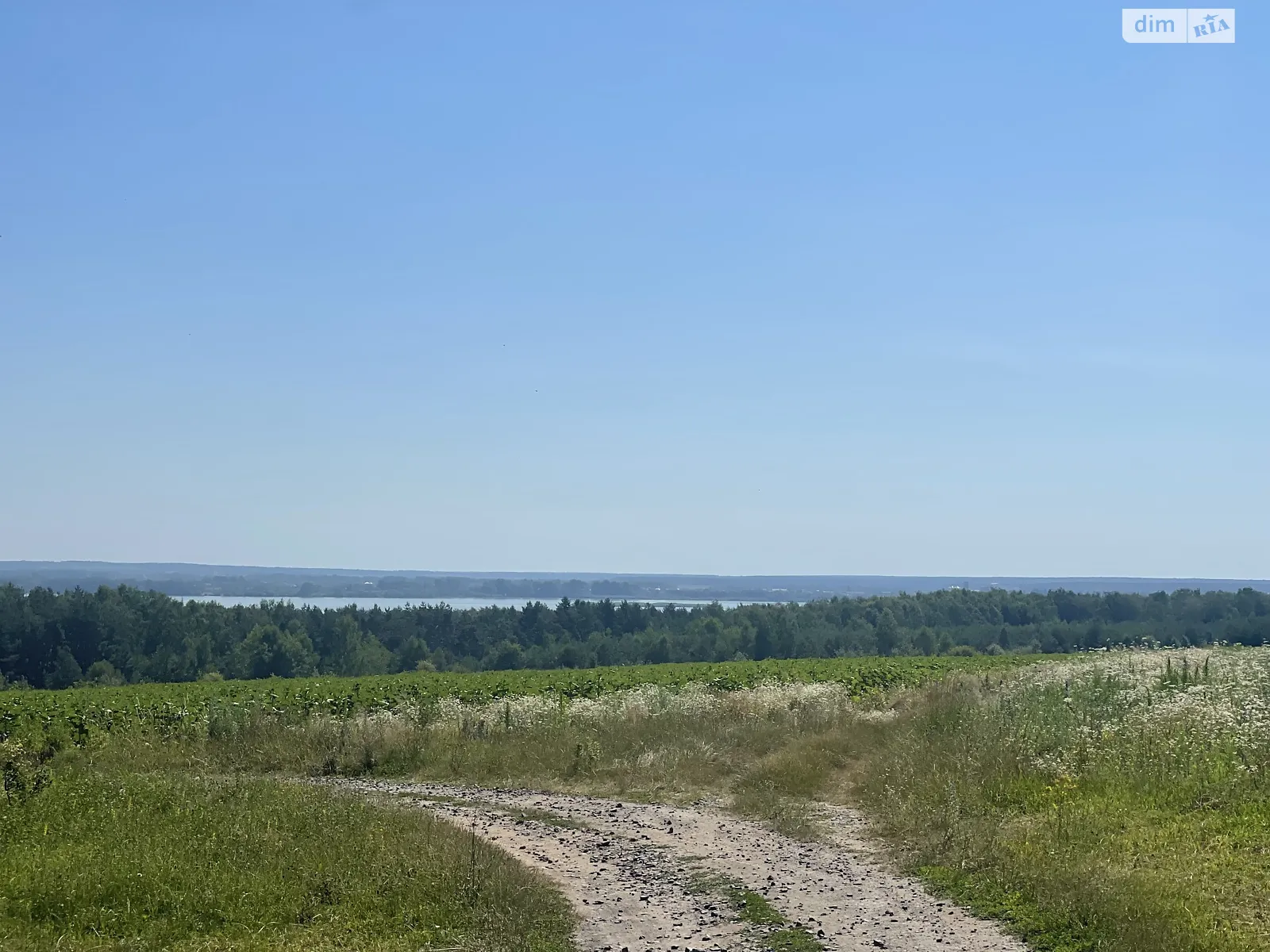 Подільське, цена: 29500 $ - фото 1
