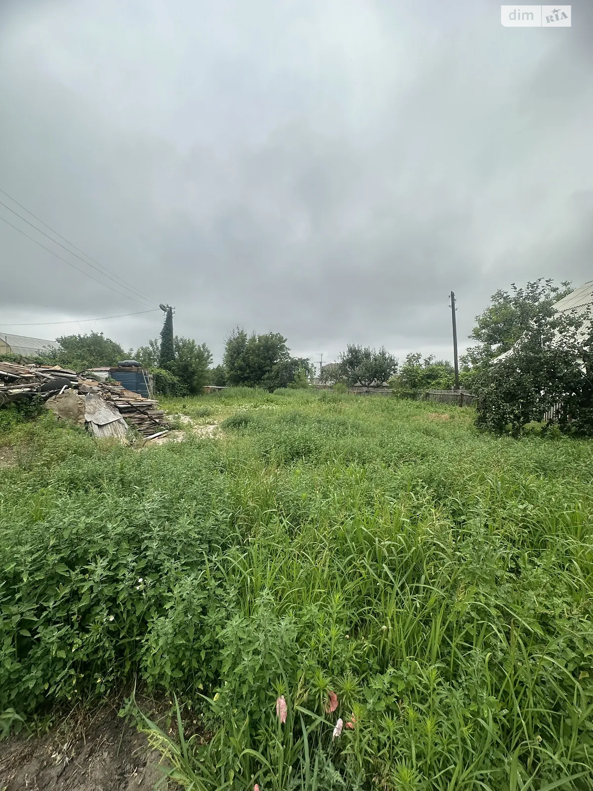 Продается земельный участок 10 соток в Киевской области, цена: 70000 $ - фото 1