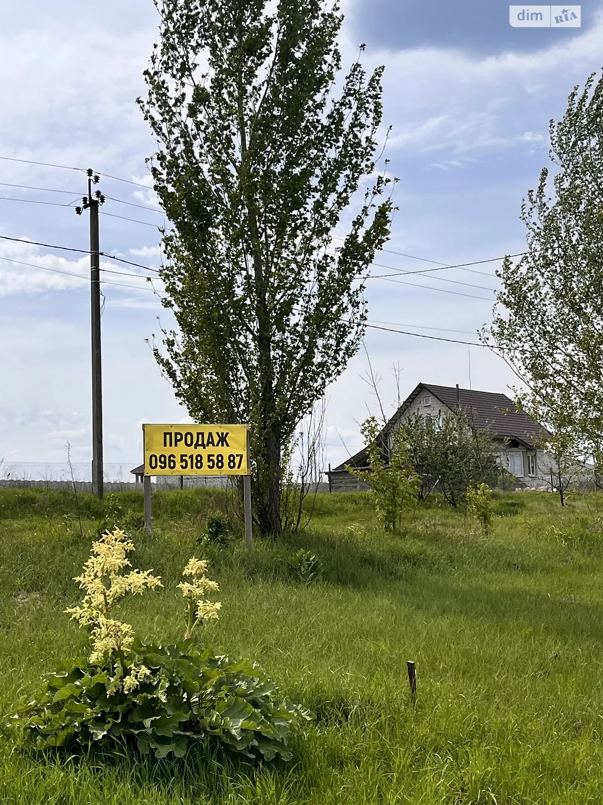 Продается земельный участок 18 соток в Киевской области, цена: 32000 $ - фото 1