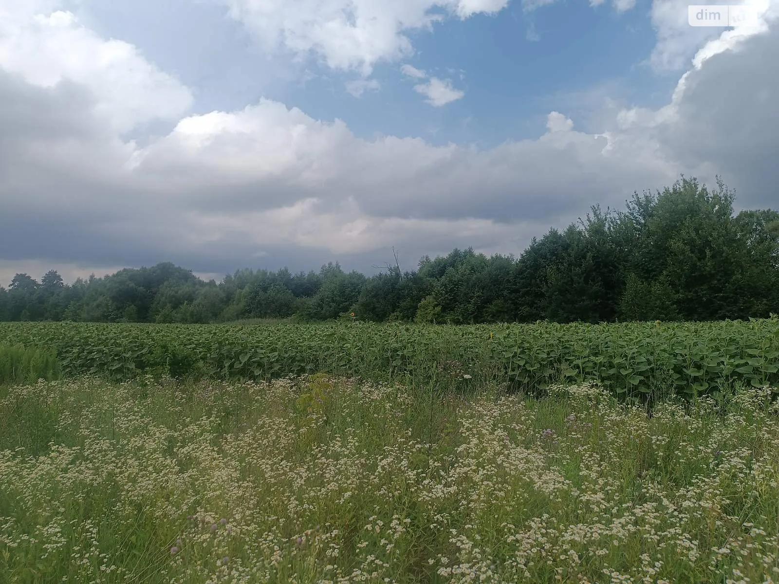 Продається земельна ділянка 1.3 соток у Вінницькій області, цена: 46000 $ - фото 1