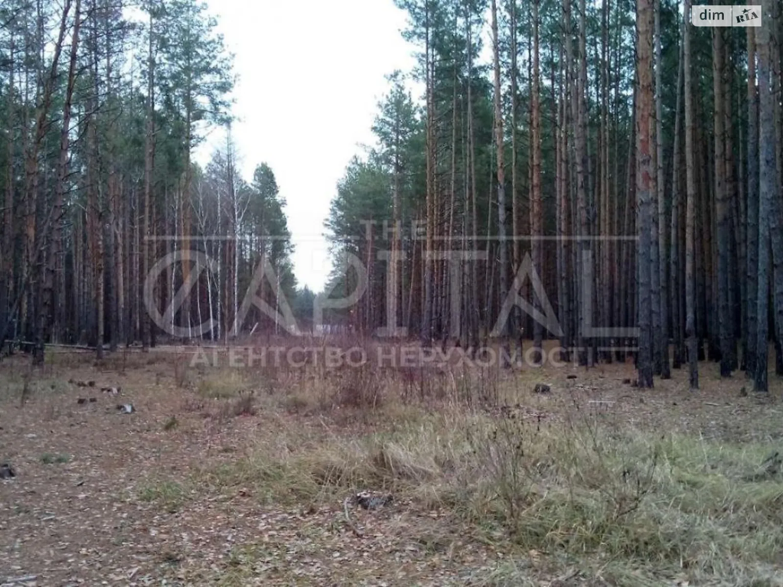 Продается земельный участок 21 соток в Киевской области - фото 3