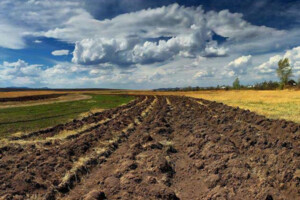 Куплю земельный участок в Семеновке без посредников