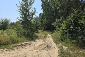 Продаж землі сільськогосподарського призначення, Житомирська, Довжик, р‑н. Соколова Гора