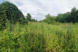 Куплю дом Житомирской области