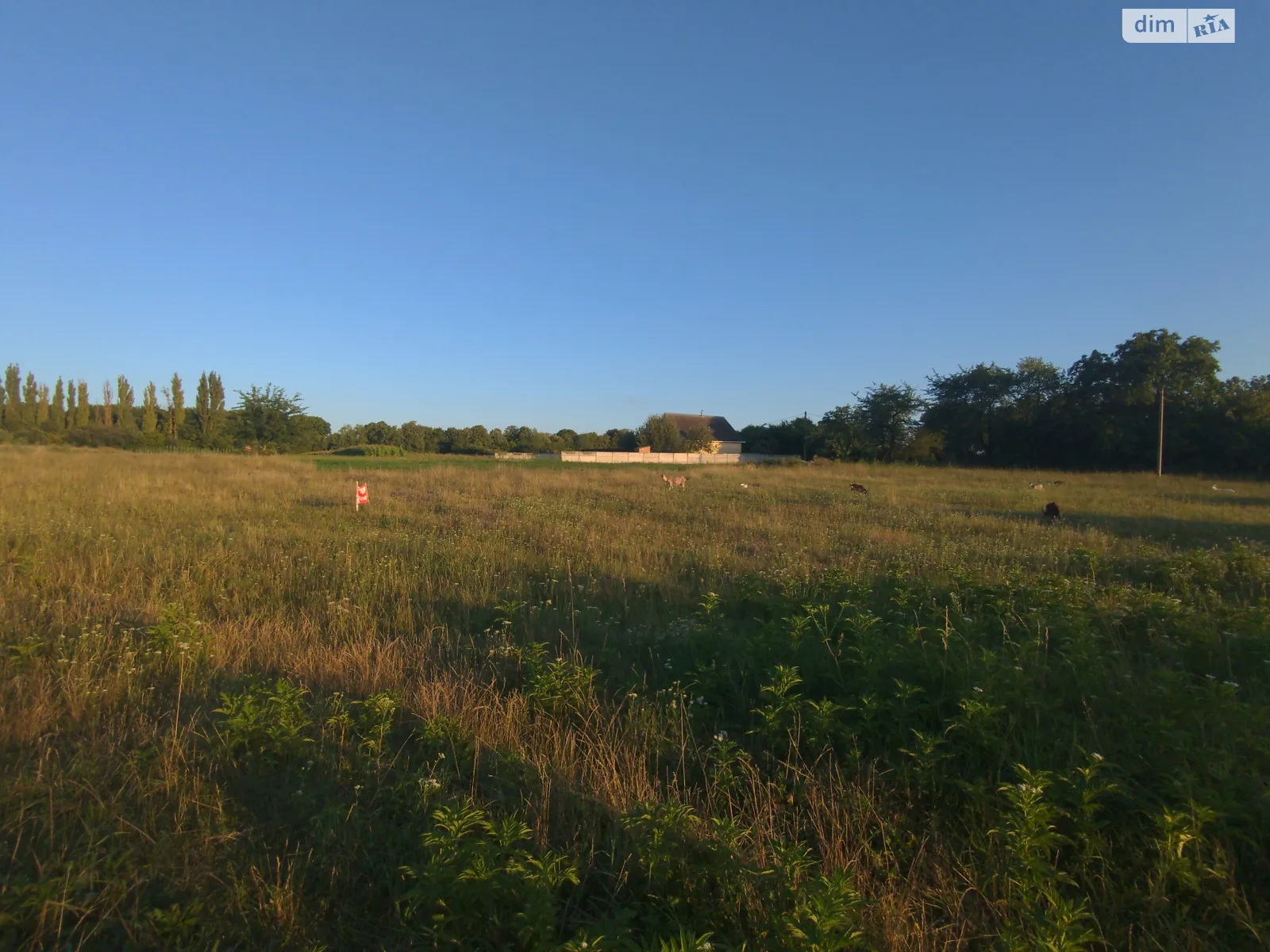 вул. Верхня Нагірна Лука-Мелешківська, цена: 18000 $ - фото 1