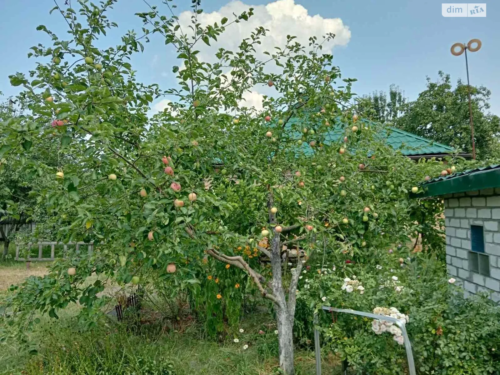 Продается одноэтажный дом 47.4 кв. м с камином, цена: 30000 $ - фото 1