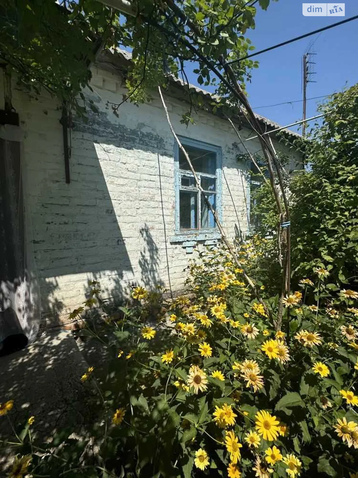 Мала Рудка, цена: 6000 $ - фото 1