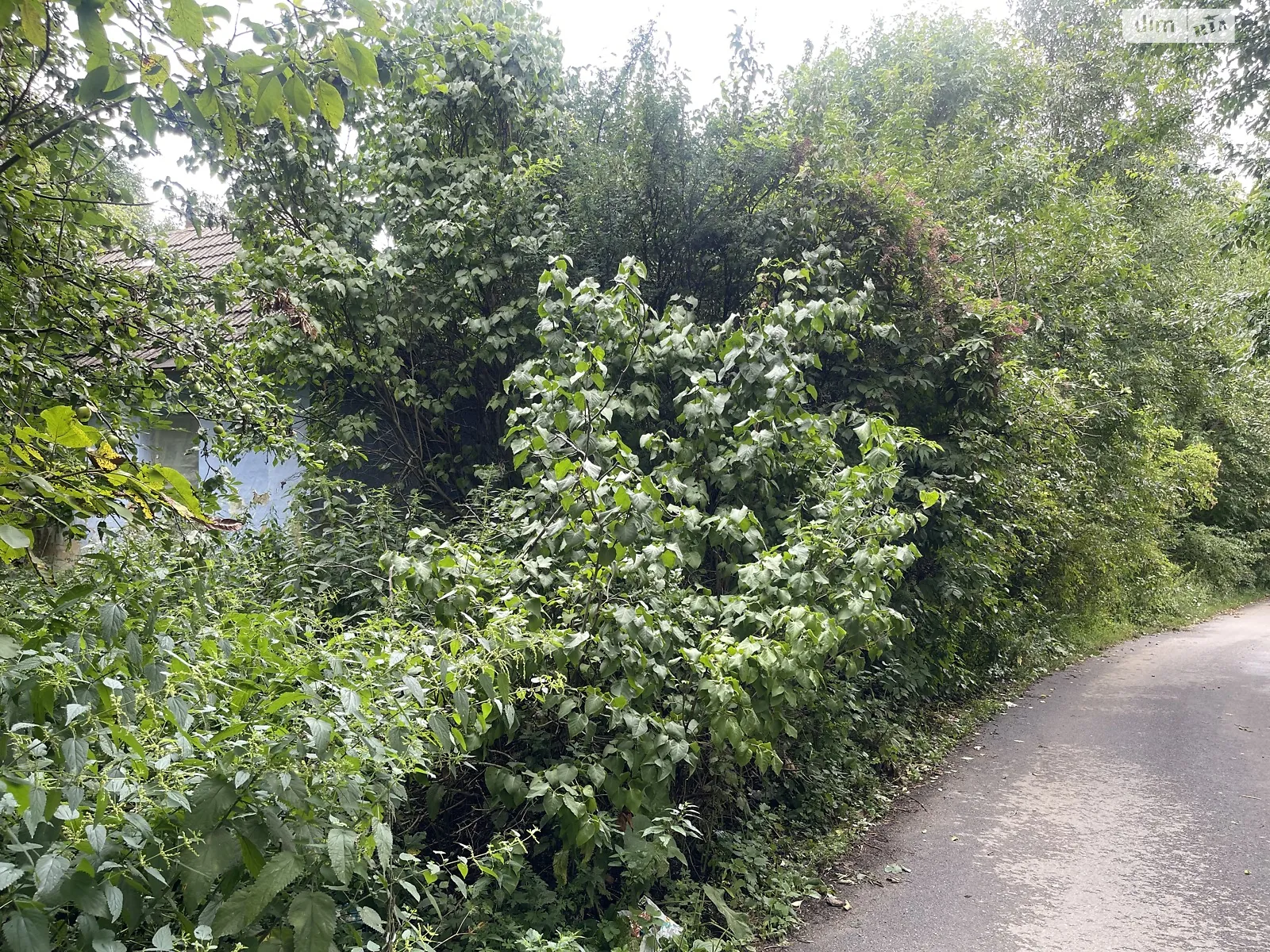 вул. Українська(Кошового) Ярмолинці, цена: 16500 $ - фото 1