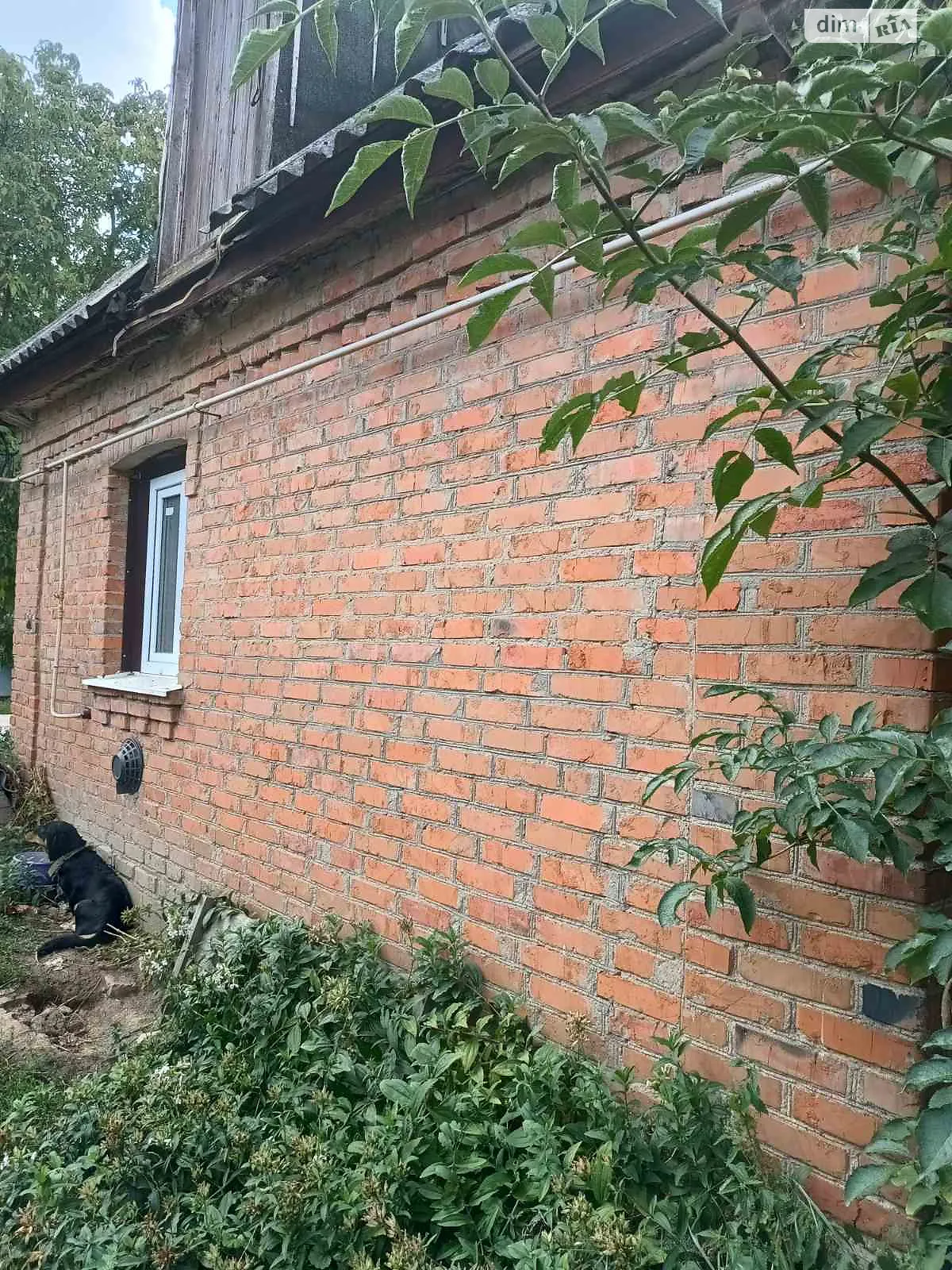 Продается одноэтажный дом 50 кв. м с беседкой, цена: 15000 $ - фото 1