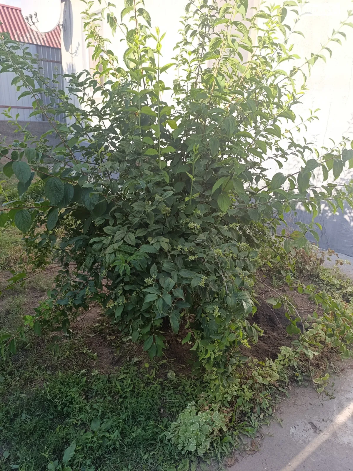 Продается одноэтажный дом 72 кв. м с балконом, цена: 33000 $ - фото 1
