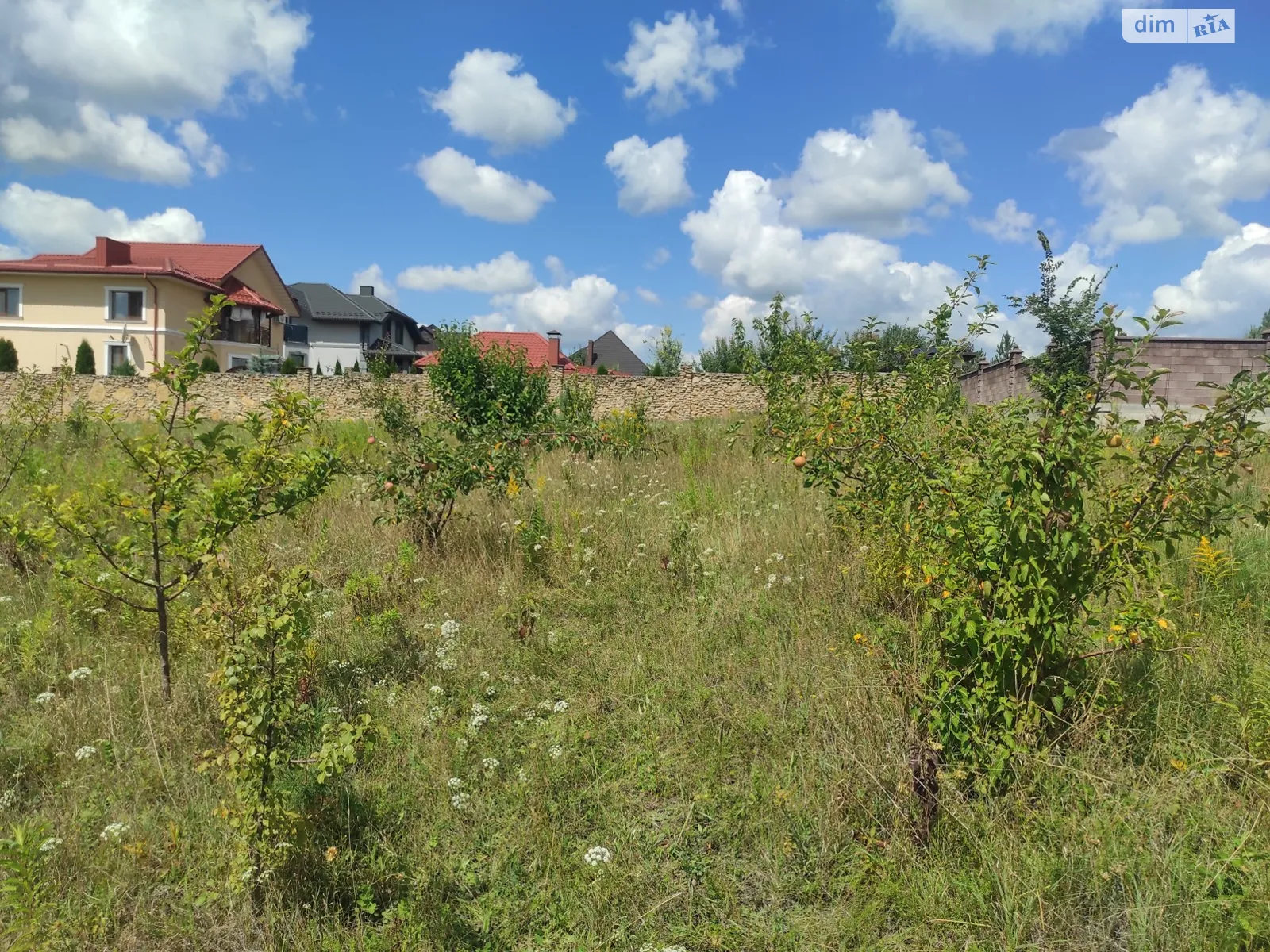 Продается земельный участок 10 соток в Ровенской области, цена: 25000 $ - фото 1