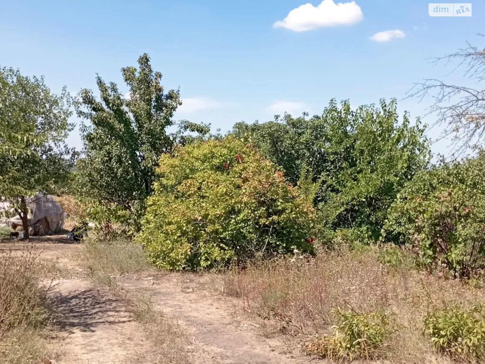 Продається земельна ділянка 32 соток у Дніпропетровській області - фото 3