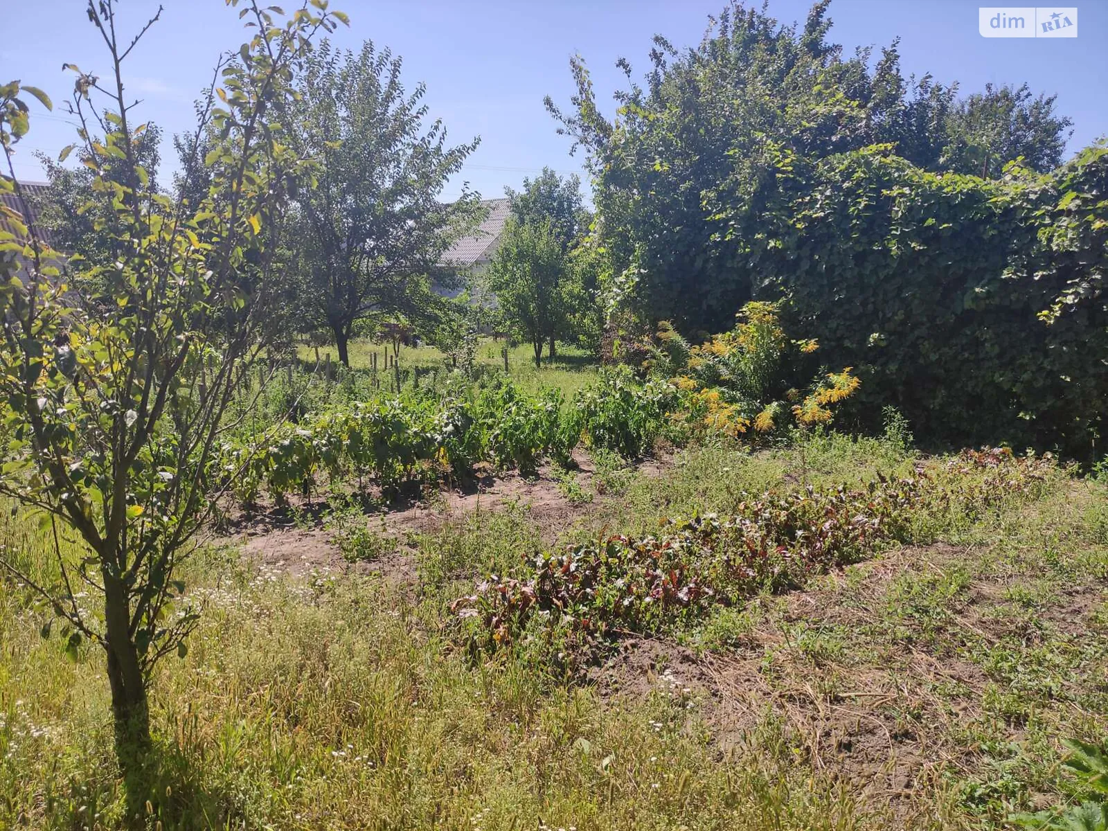 вул. Володимирська Луцьк - фото 2