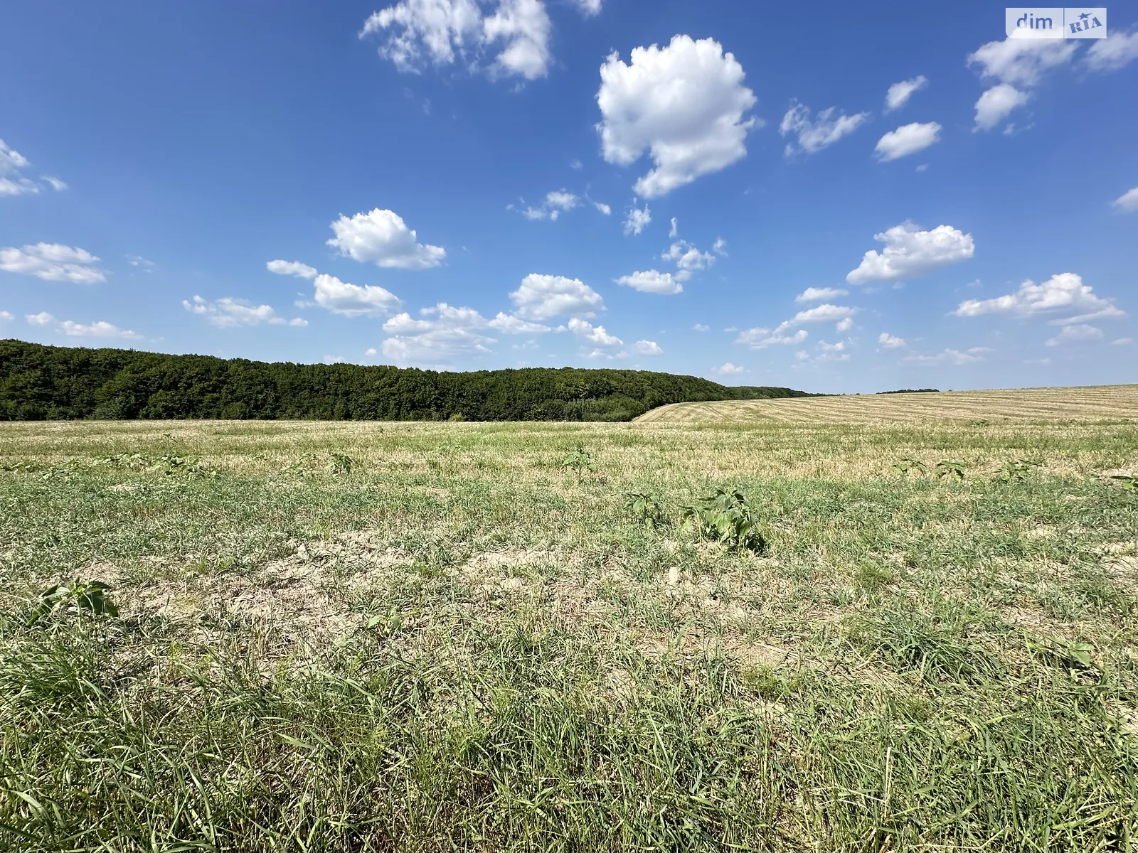 ул. Пирогова Лука-Мелешковская, цена: 575000 $ - фото 1