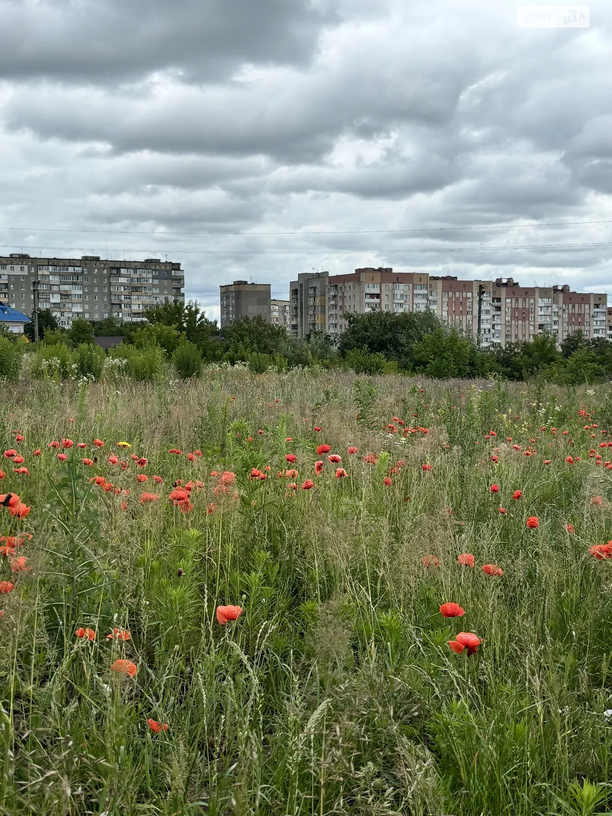 Продается земельный участок 10 соток в Ровенской области, цена: 25000 $ - фото 1