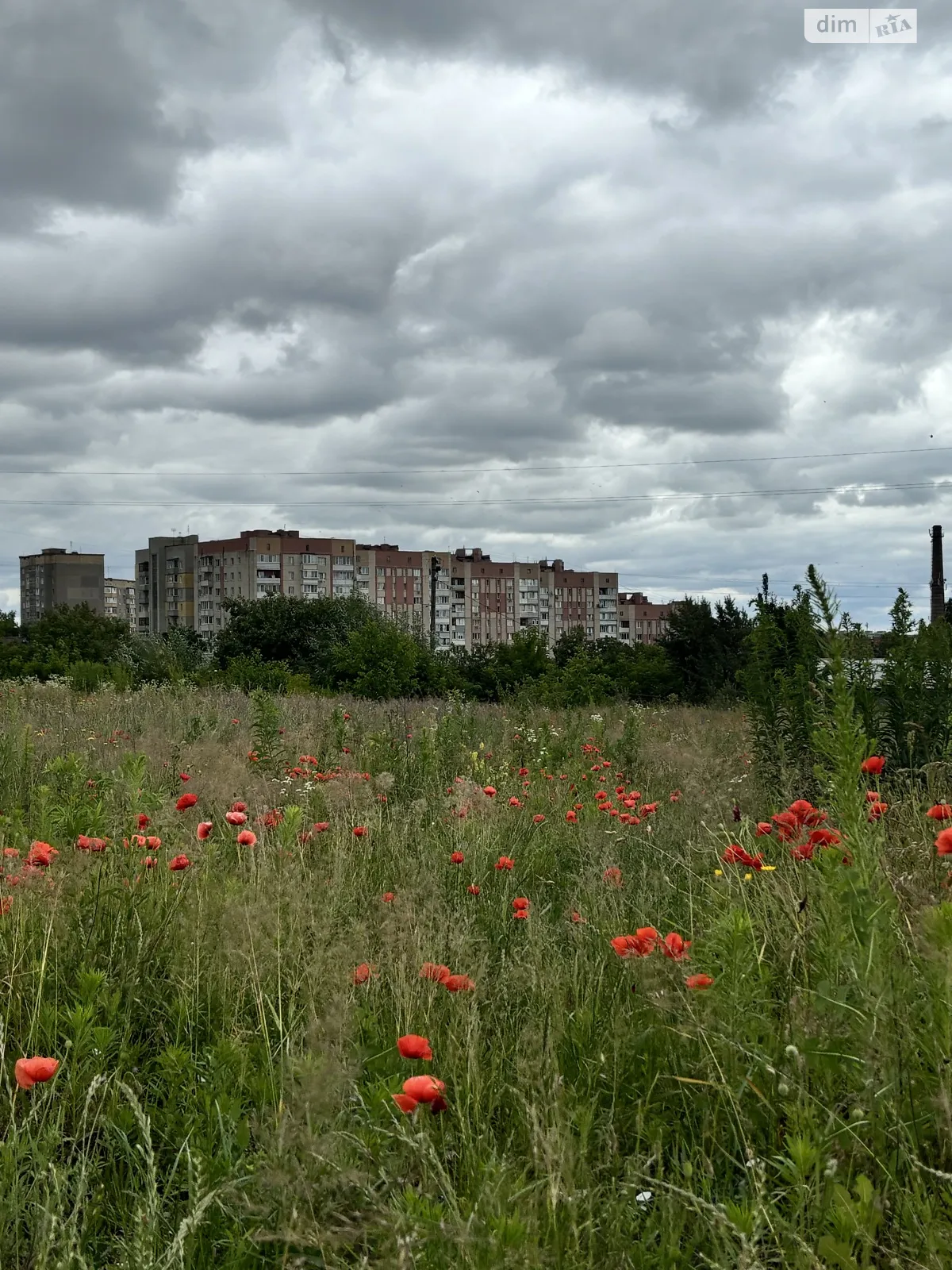 Продається земельна ділянка 10 соток у Рівненській області - фото 3