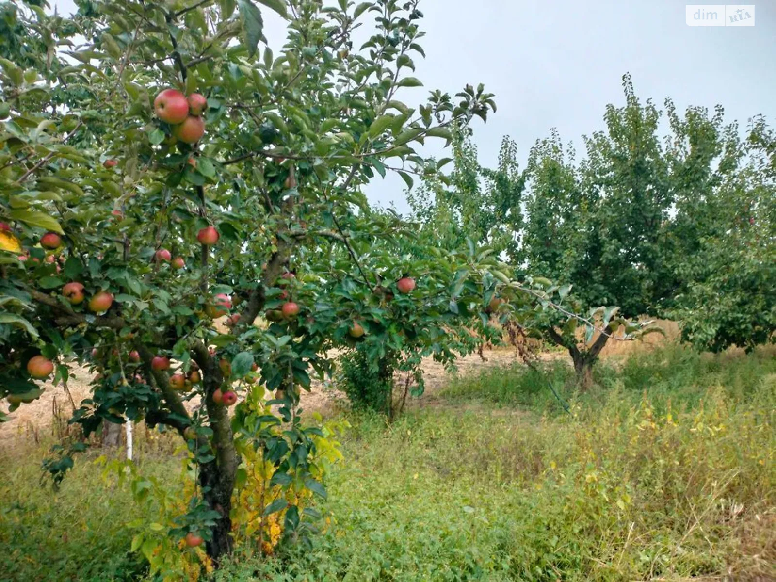 Продается одноэтажный дом 16 кв. м с мансардой, цена: 140000 грн - фото 1