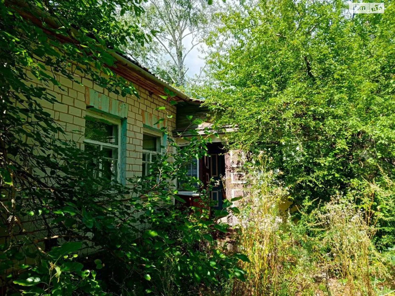 Продается одноэтажный дом 80 кв. м с бассейном, цена: 80000 грн - фото 1