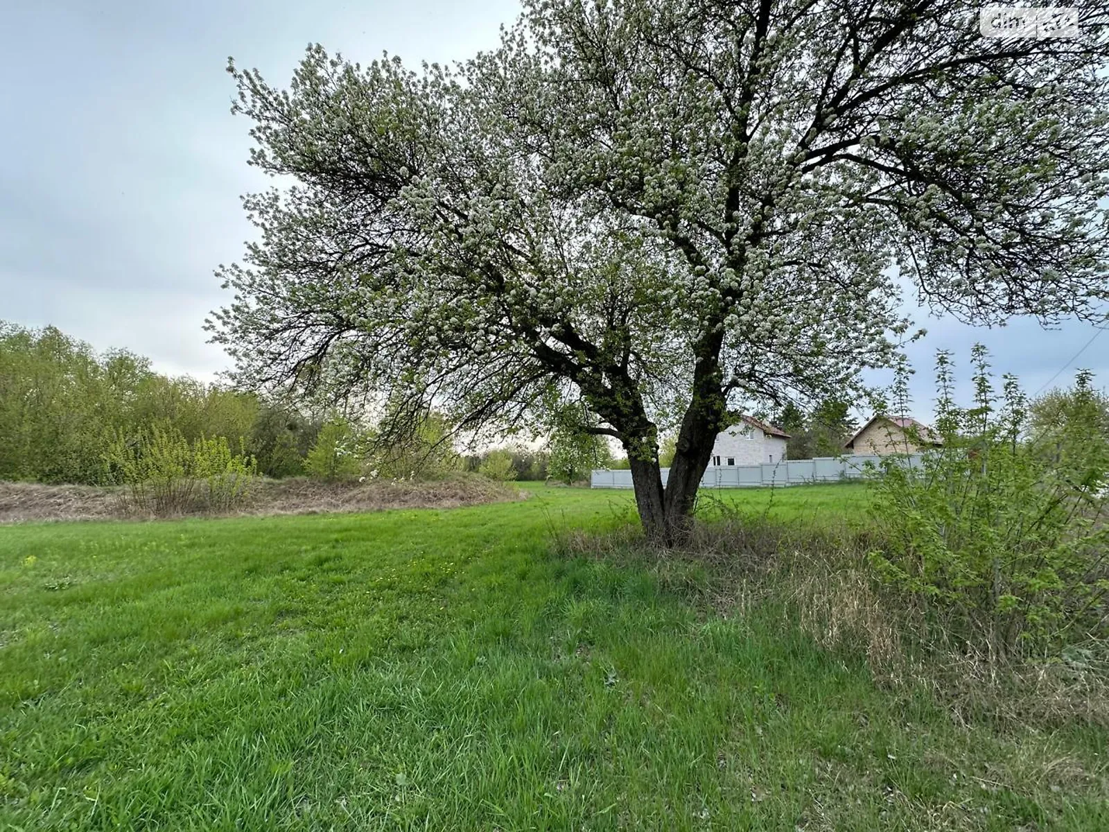 вул. Леніна Велика Бугаївка, цена: 36000 $ - фото 1
