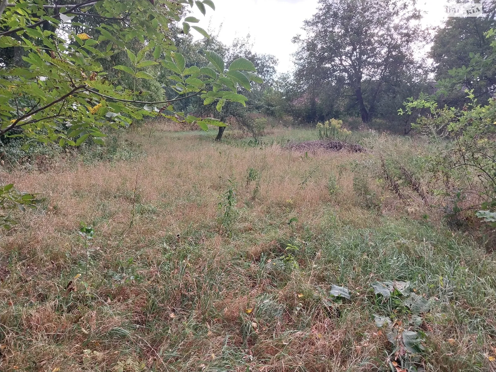 3-й пров. Незалежності Лука-Мелешківська, цена: 50000 $ - фото 1