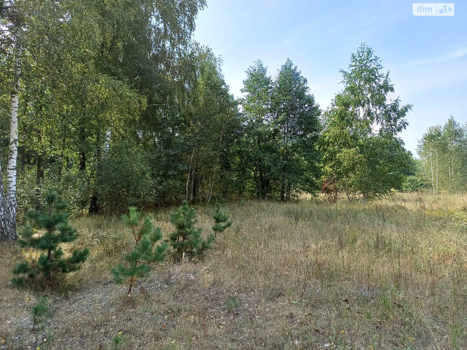 Продается земельный участок 120 соток в Киевской области, цена: 32500 $ - фото 1