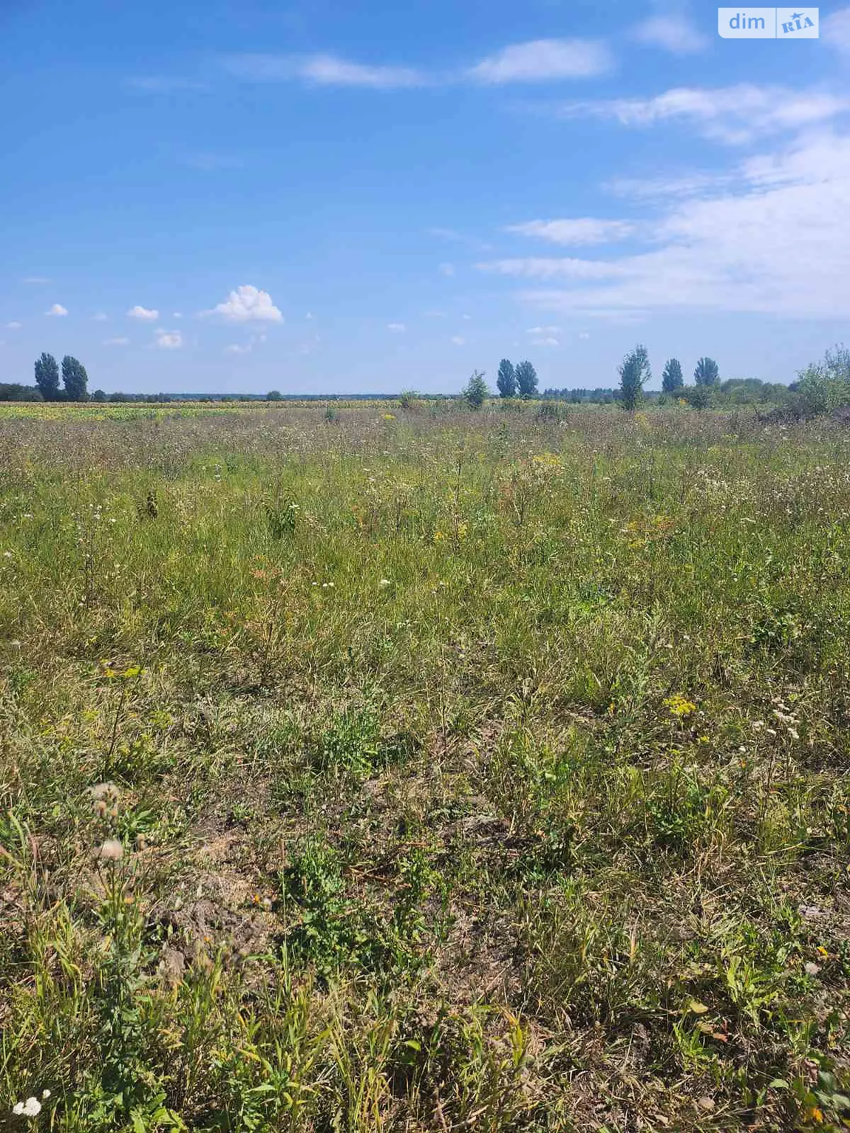 Продается земельный участок 15 соток в Винницкой области, цена: 6000 $ - фото 1