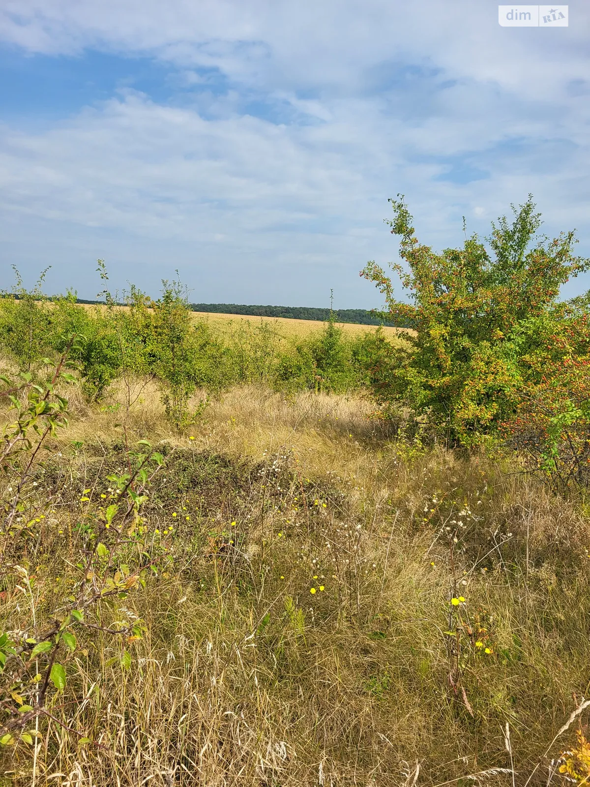 Продається земельна ділянка 10 соток у Вінницькій області, цена: 16500 $ - фото 1